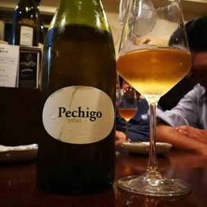Pechigo 2008