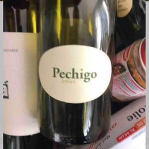 Pechigo Chenin Moelleux - Domaine Sylvain Saux - domaine-sylvain-saux