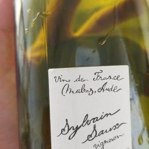Pechigo Chenin Moelleux - Domaine Sylvain Saux - domaine-sylvain-saux