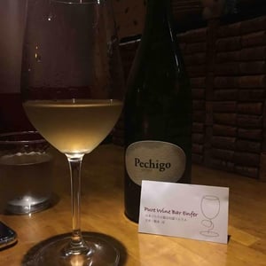 Domaine Sylvain Saux - Domaine Sylvain Saux - Pechigo Chenin Moelleux