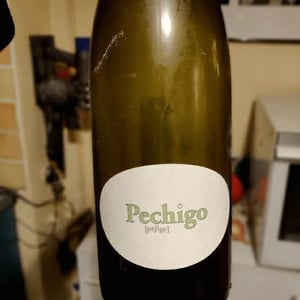 Pechigo Chenin Moelleux - Domaine Sylvain Saux - domaine-sylvain-saux