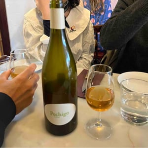 Pechigo Blanc - Domaine Sylvain Saux - domaine-sylvain-saux