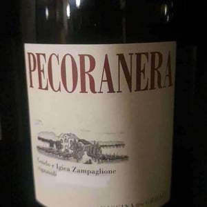Pecoranera - Tenuta Grillo - guido-zampaglione