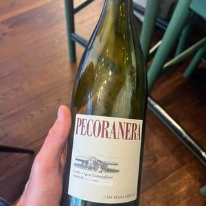 Pecoranera - Tenuta Grillo - Guido Zampaglione 