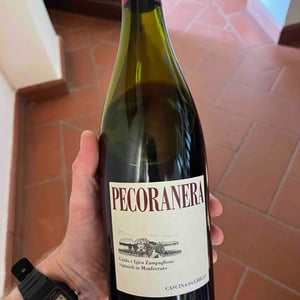 Pecoranera - Tenuta Grillo - Guido Zampaglione 