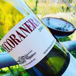 Pecoranera - Tenuta Grillo - Guido Zampaglione 