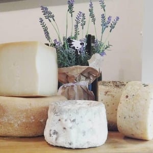 Pecorini - Vineria Sonora - 497628