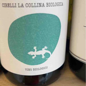 Pecorino - Azienda Agricola Cirelli - francesco-cirelli