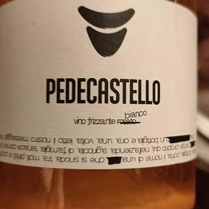 Vino Frizzante Bianco - Pedecastello - alex-della-vecchia-9i -2022