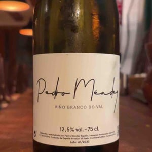 Pedro Mendez - Pedro Mendez - pedro-mendez -2023