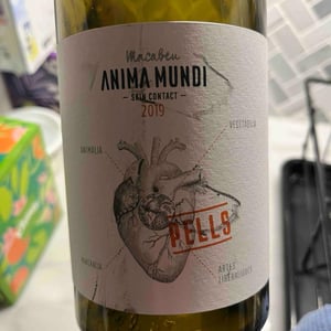 Pells - Anima Mundi - agusti-torello-roca