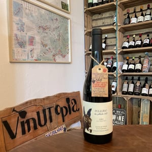 Pelludo - Quinta da Pellada | Quinta de Saes - maria-alvaro-castro -2017