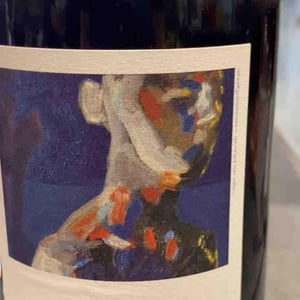Pèlroge - Domaine de l'Astré - aude-duval-et-sylvain-ohayon