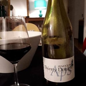 Pendolina - Vignobles Doulmet - Domaine Du Fils D'Eole - Thierry & Rémy Doulmet 