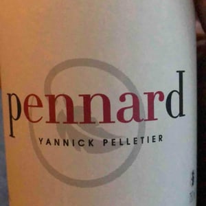 Domaine Yannick Pelletier - Yannick Pelletier - Pennard