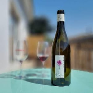 Pensée Sauvage - Domaine Dame Jeanne - jeanne-piollot -2018