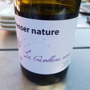Penser Nature Le Grolleau - Château de Passavant - claire-lecomte-olivier-lecomte-francois-david