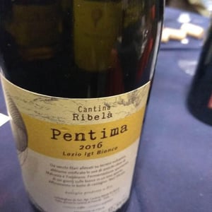 Pentima - Cantina Ribelà - chiara-bianchi-daniele-presutti