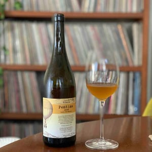 Pentima - Cantina Ribelà - chiara-bianchi-daniele-presutti