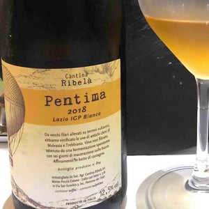 Pentima - Cantina Ribelà - chiara-bianchi-daniele-presutti