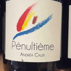 Pénultième - Andrea Calek - andrea-calek-et-stephana-nicolescu