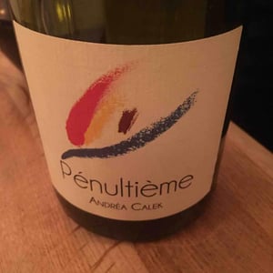 Pénultième - Andrea Calek - andrea-calek-et-stephana-nicolescu