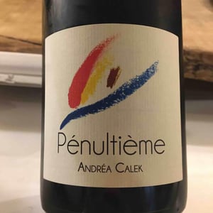 Pénultième - Andrea Calek - andrea-calek-et-stephana-nicolescu
