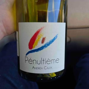 Pénultième - Andrea Calek - Andrea Calek et Stephana Nicolescu 