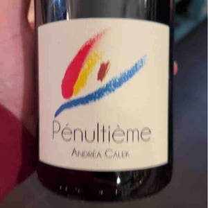 Pénultième - Andrea Calek - andrea-calek-et-stephana-nicolescu