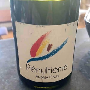 Pénultième - Andrea Calek - andrea-calek-et-stephana-nicolescu