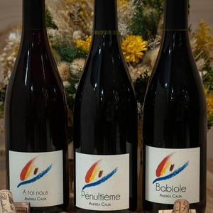 Pénultième - Andrea Calek - andrea-calek-et-stephana-nicolescu
