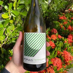 Populis - Les Lunes Wine / Populis Wine - shaunt-oungolian-diego-roig