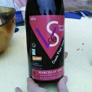 Vigne De Signols - Yvan-Marie Ruffié - Pépé Léon