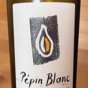 Kevin Bouillet - Kevin Bouillet - Pépin Blanc