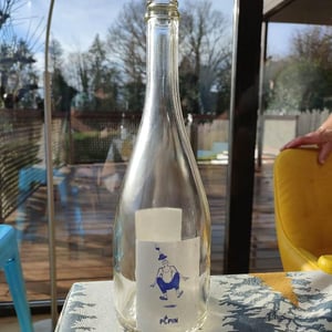 Pépin Pet Nat - Pépin Vin - jean-dietrich-pierre-dietrich-sarah-hilzendeger-pierre-sanchez-et-xavier-cou-ec