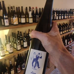 Pépin Riesling - Pépin Vin - jean-dietrich-pierre-dietrich-sarah-hilzendeger-pierre-sanchez-et-xavier-cou-ec