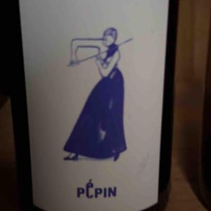 Pépin Vin - Jean Dietrich, Pierre Dietrich, Sarah Hilzendeger, Pierre Sanchez, et Xavier Couturier - Pépin Rouge (Violon)