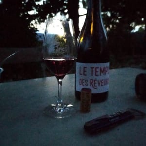 Pépins - Le Temps Des Rêveurs - jerome-maillot