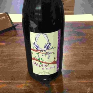 Pépite D’Aunis - Domaine des Pies Blanches - pierre-pradelle