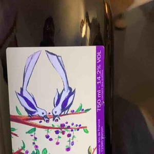 Pépite D’Aunis - Domaine des Pies Blanches - Pierre Pradelle 