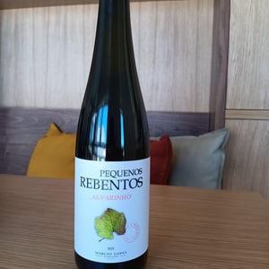 Pequenos Rebentos - Márcio Lopes - marcio-lopes -2018