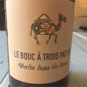 Perdu Dans Les Dunes - Le Bouc à Trois Pattes - Wim Wagemans 