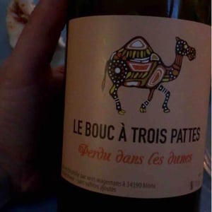Le Bouc à Trois Pattes - Wim Wagemans - Perdu Dans Les Dunes