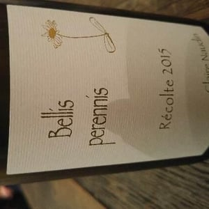 Bellis Perennis - Domaine Henri Naudin-Ferrand - claire-naudin