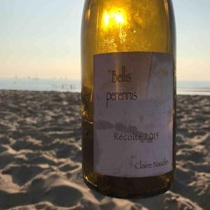 Domaine Henri Naudin-Ferrand - Claire Naudin - Bellis Perennis