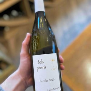 Bellis Perennis - Domaine Henri Naudin-Ferrand - claire-naudin