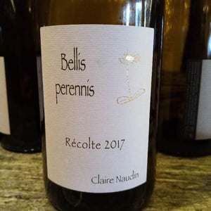 Bellis Perennis - Domaine Henri Naudin-Ferrand - claire-naudin