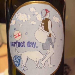 Perfect Day - Weingut Pittnauer - Gerhard & Brigitte Pittnauer 