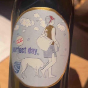Perfect Day - Weingut Pittnauer - Gerhard & Brigitte Pittnauer 
