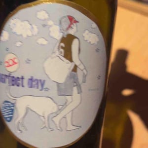 Perfect Day - Weingut Pittnauer - Gerhard & Brigitte Pittnauer 